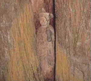 樹の洞の仏像