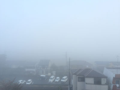 霧