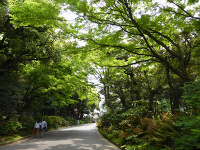 東京都庭園美術館への道